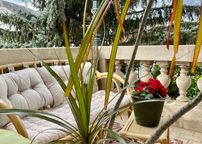 De La Semm - Iconique A Avec Parking * Colmar